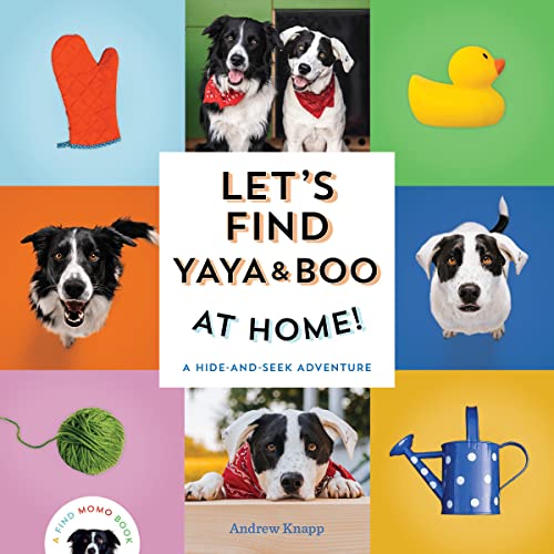 Imagen de archivo de Let's Find Yaya and Boo at Home!: A Hide-and-Seek Adventure (Find Momo) a la venta por GF Books, Inc.