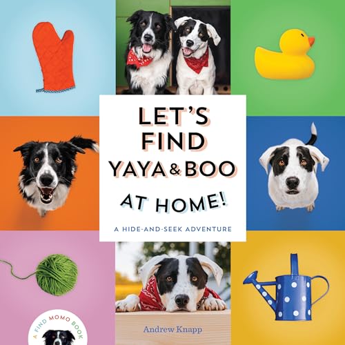 Stock image for Let's Find Yaya and Boo at Home!: A Hide-and-Seek Adventure (Find Momo) for sale by GF Books, Inc.
