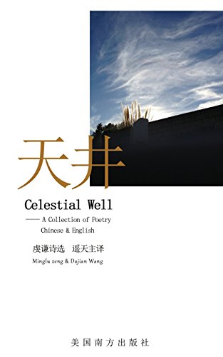 Stock image for Celestial Well for sale by Lucky's Textbooks
