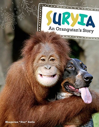 Beispielbild fr Suryia: An Orangutan  s Story zum Verkauf von WorldofBooks