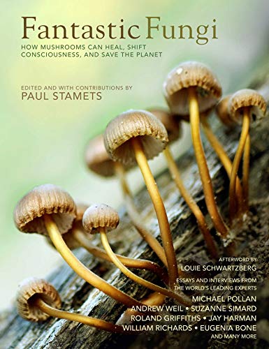 Stock image for Fantastic Fungi: Expanding Consciousness, Alternative Healing, Environmental Impact // Official Book of Smash Hit Documentary for sale by Ergodebooks