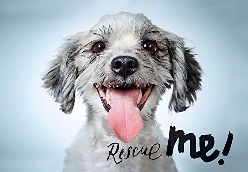 9781683952138: Rescue Me (signed edition): Dog Adoption Portraits and Stories from New York City