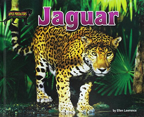 9781684020300: Jaguar