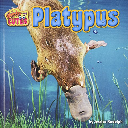 Beispielbild fr Platypus zum Verkauf von Better World Books: West