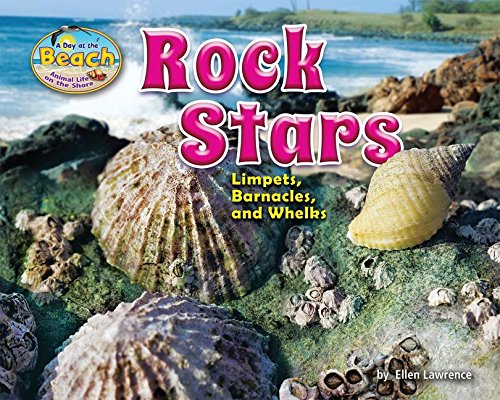Imagen de archivo de Rock Stars: Limpets, Barnacles, and Whelks (Day at the Beach: Animal Life on the Shore) a la venta por Irish Booksellers