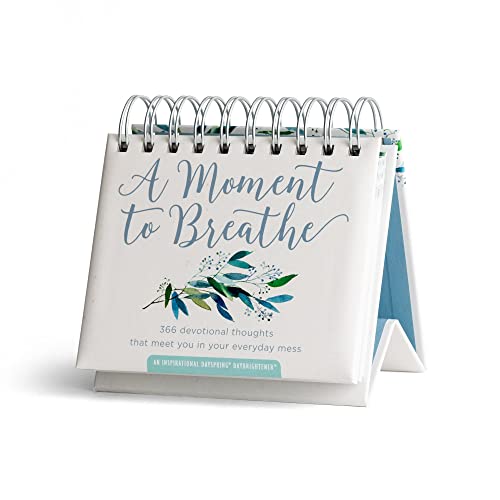 Stock image for A Moment To Breathe: 366 Devotional Thoughts That Meet You in Your Everyday Mess: An Inspirational DaySpring DayBrightener - Perpetual Calendar for sale by SecondSale