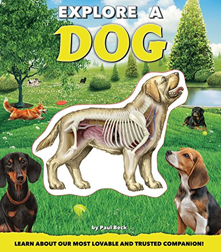 Beispielbild fr Explore a Dog zum Verkauf von ZBK Books