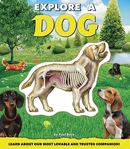Imagen de archivo de Explore a Dog a la venta por ZBK Books
