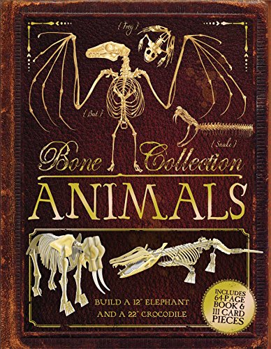 Stock image for Bone Collection: Animals for sale by Decluttr