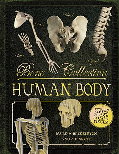 Imagen de archivo de Bone Collection: Human Body a la venta por Bookmonger.Ltd