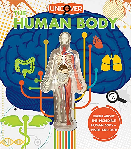 9781684125494: Uncover the Human Body: Includes Plastic Model