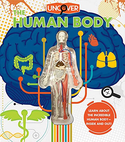 Imagen de archivo de Uncover the Human Body a la venta por Wonder Book