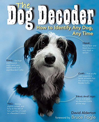 Stock image for Dog Decoder: How to Identify Any Dog, Any Time for sale by Patrico Books