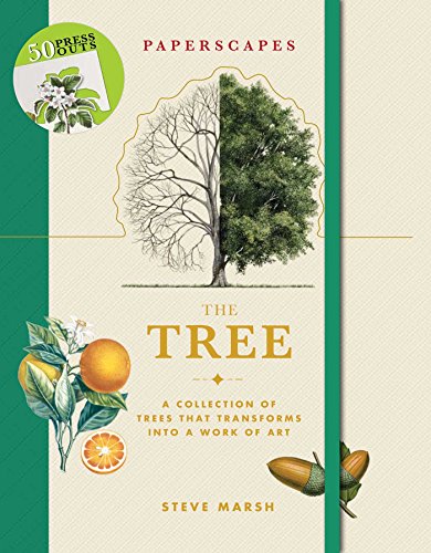 9781684125876: Paperscapes: The Tree