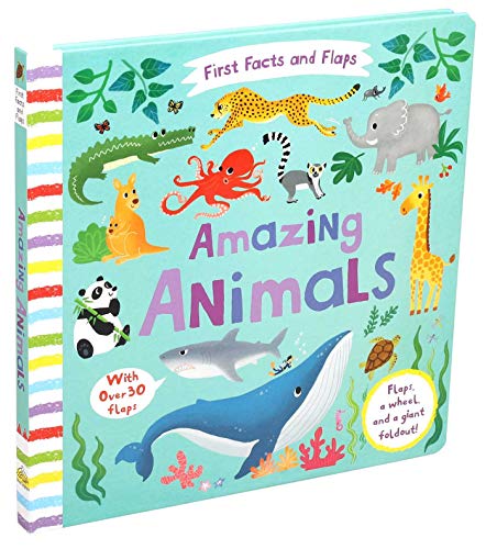 Beispielbild fr First Facts and Flaps: Amazing Animals zum Verkauf von BooksRun