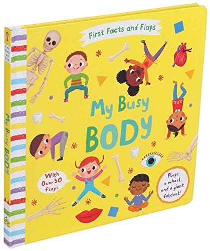 Beispielbild fr First Facts and Flaps: My Busy Body zum Verkauf von Off The Shelf