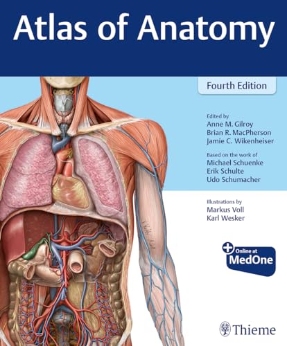 Imagen de archivo de Atlas of Anatomy a la venta por BooksRun