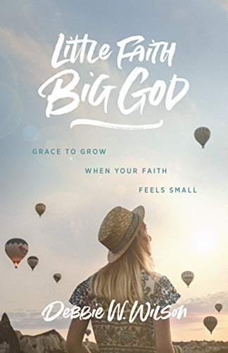 Beispielbild fr Little Faith, Big God: Grace to Grow When Your Faith Feels Small zum Verkauf von ThriftBooks-Dallas