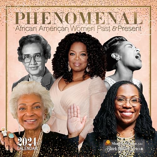 Stock image for Black History: Phenomenal African American Women for sale by Grand Eagle Retail