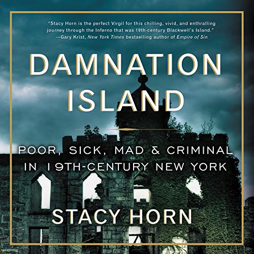 Stock image for Damnation Island: Poor, Sick, Mad, and Criminal in 19th-Century New York for sale by SecondSale