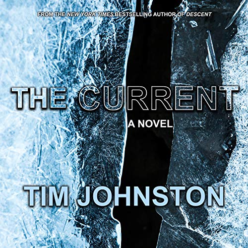 9781684416387: The Current: A Novel