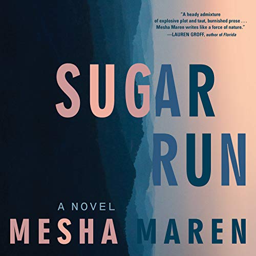 9781684416400: Sugar Run: A Novel
