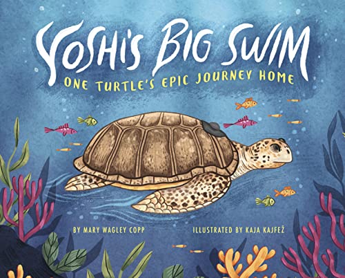 Beispielbild fr Yoshi's Big Swim: One Turtle's Epic Journey Home zum Verkauf von medimops