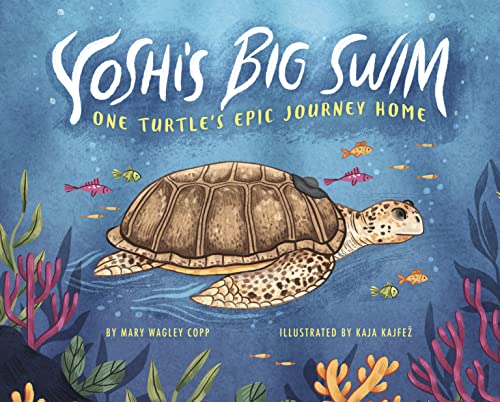 Beispielbild fr Yoshi's Big Swim zum Verkauf von Blackwell's