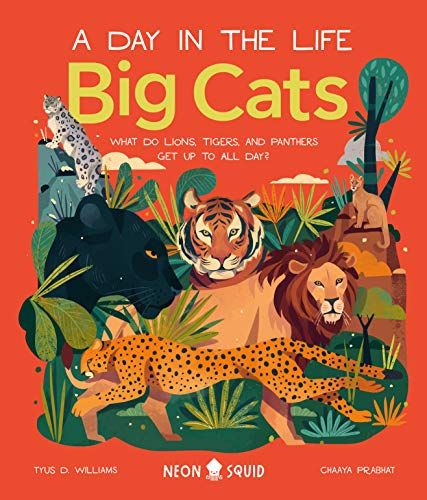 Beispielbild fr Big Cats (A Day in the Life): What Do Lions, Tigers, and Panthers Get up to All Day? zum Verkauf von SecondSale