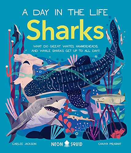 Beispielbild fr Sharks (A Day in the Life): What Do Great Whites, Hammerheads, and Whale Sharks Get Up To All Day? zum Verkauf von Goodwill of Colorado