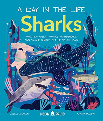 Stock image for Sharks (A Day in the Life): What Do Great Whites, Hammerheads, and Whale Sharks Get Up To All Day? for sale by Dream Books Co.