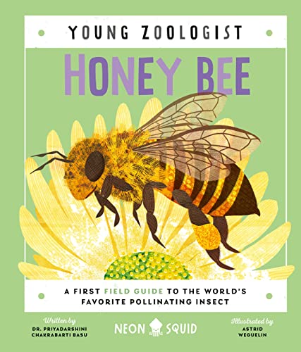 9781684492824: Honey Bee: A First Field Guide to the World's Favorite Pollinating Insect (Young Zoologist)