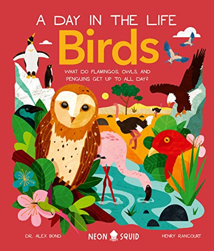 9781684492855: Birds (A Day in the Life): What Do Flamingos, Owls, and Penguins Get Up To All Day?
