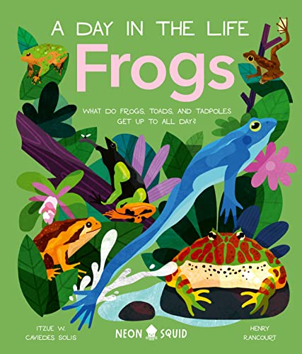 Stock image for Frogs (A Day in the Life): What Do Frogs, Toads, and Tadpoles Get Up to All Day? for sale by HPB Inc.