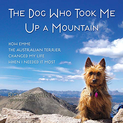 Stock image for The Dog Who Took Me Up a Mountain: How Emme the Australian Terrier Changed My Life When I Needed It Most for sale by Buchpark