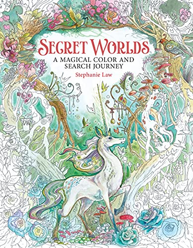 Beispielbild fr Secret Worlds: A Magical Color and Search Journey zum Verkauf von WorldofBooks