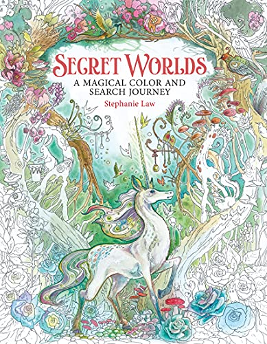 Beispielbild fr Secret Worlds zum Verkauf von Blackwell's