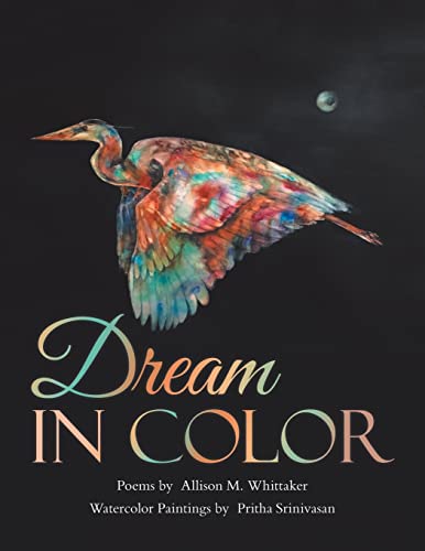 Beispielbild fr Dream in Color zum Verkauf von Wonder Book