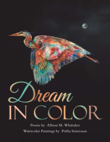 Imagen de archivo de Dream in Color a la venta por Wonder Book