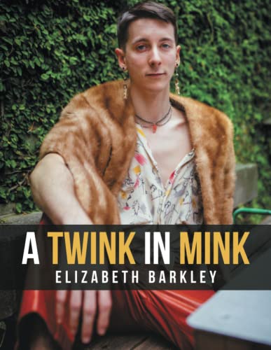 Stock image for A Twink in Mink for sale by HPB-Emerald