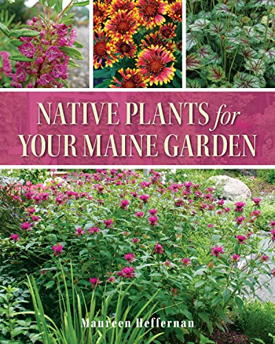 Imagen de archivo de Native Plants for Your Maine Garden a la venta por Lakeside Books