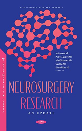 Imagen de archivo de Neurosurgery Research : An Update a la venta por GreatBookPrices
