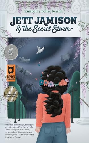 Beispielbild fr Jett Jamison and the Secret Storm: Brave Girls Collection zum Verkauf von ZBK Books