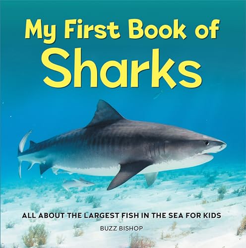9781685394530: My First Book of Sharks: All About the Largest Fish in the Sea for Kids