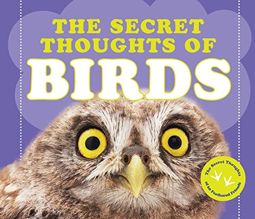 Beispielbild fr The Secret Thoughts of Birds (Secret Thoughts Series) zum Verkauf von WorldofBooks