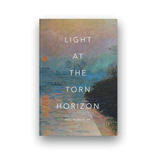 Imagen de archivo de Light at the Torn Horizon a la venta por Open Books
