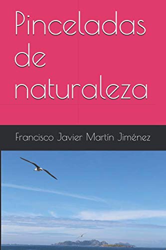 Stock image for Pinceladas de naturaleza for sale by Revaluation Books