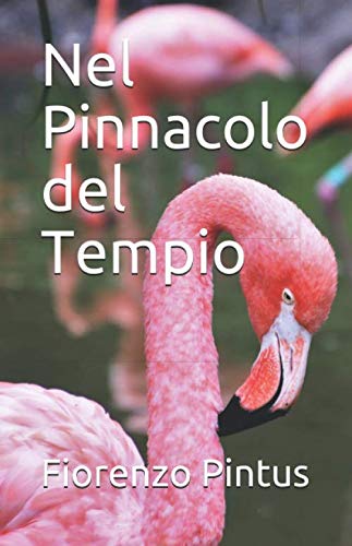 Stock image for Nel Pinnacolo del Tempio for sale by Revaluation Books