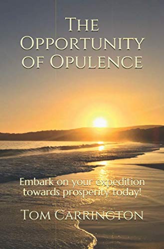 Stock image for The Opportunity of Opulence: Embark on your expedition towards prosperity today! for sale by Revaluation Books