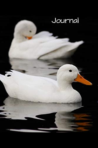 Imagen de archivo de Journal: Stunning and elegant picture of beautiful white ducks in water. This notebook is for writing in or drawing in. Will make a lovely gift for people easily distracted by ducks. a la venta por Revaluation Books